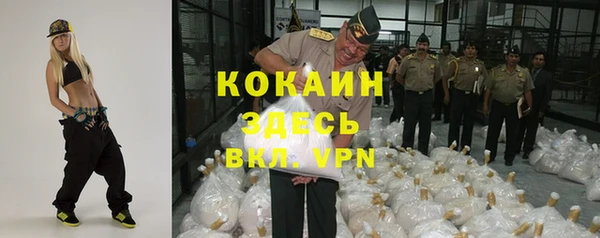 прущие грибы Беломорск