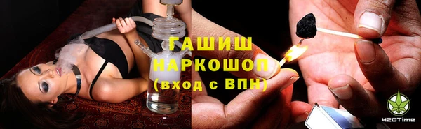 прущие грибы Беломорск