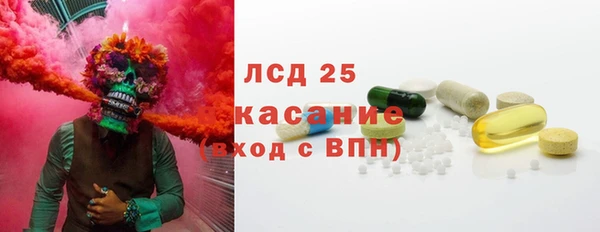 прущие грибы Беломорск