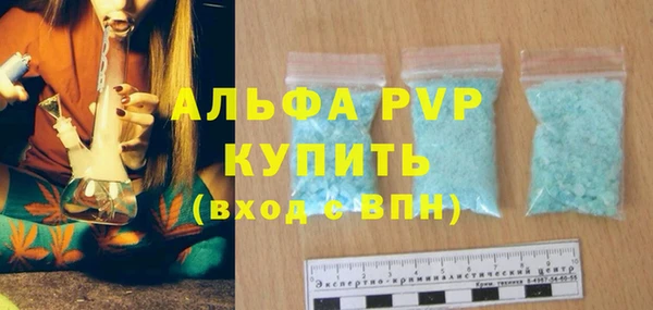 прущие грибы Беломорск